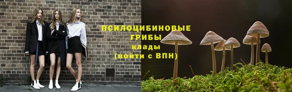 a pvp Белокуриха