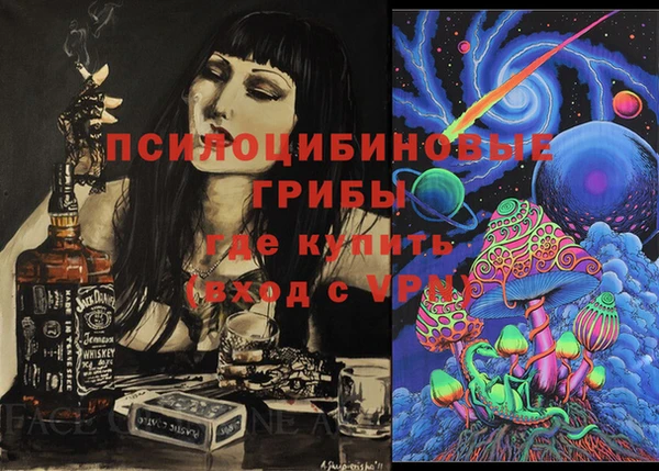PSILOCYBIN Беломорск