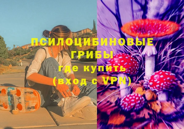 PSILOCYBIN Беломорск