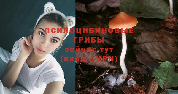 PSILOCYBIN Беломорск