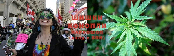 PSILOCYBIN Беломорск